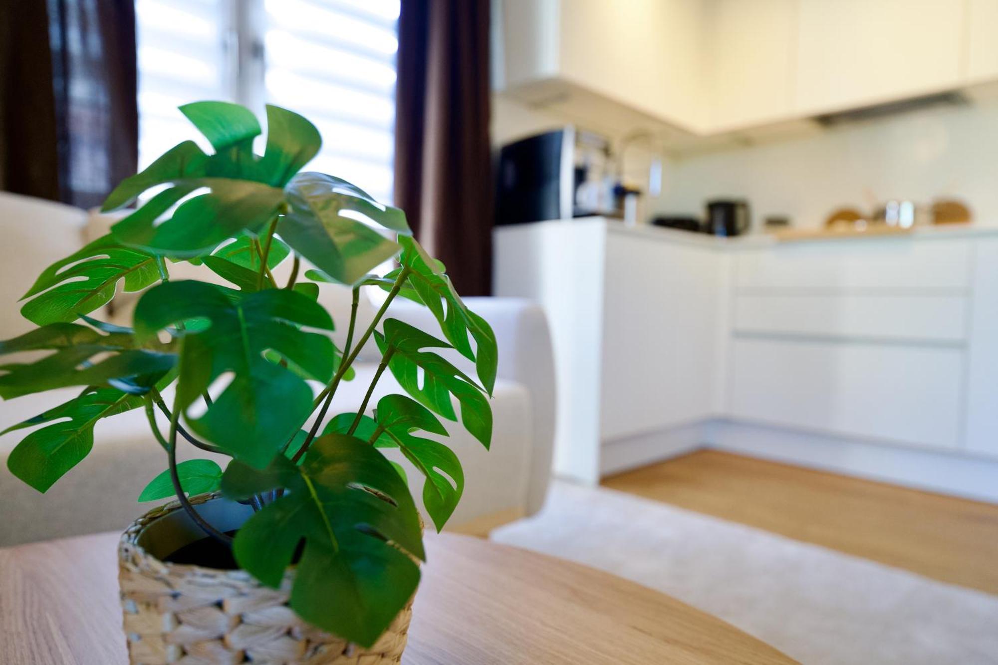 ツウィッカウEdler Wohnraum Schwanenteich-Oase Mit Balkon, Kaffeevollautomat, Lift & Parkplatzアパートメント エクステリア 写真